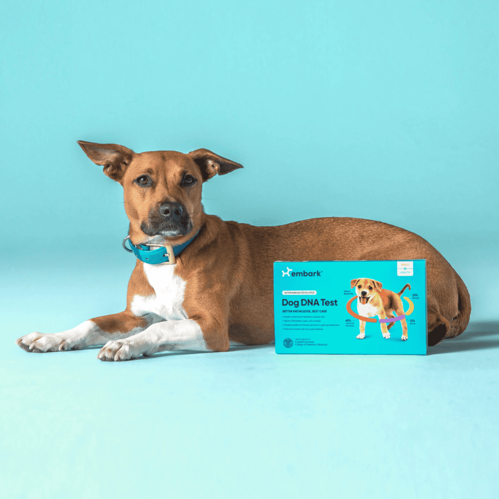 Embark Dog DNA Test for Dog Lovers