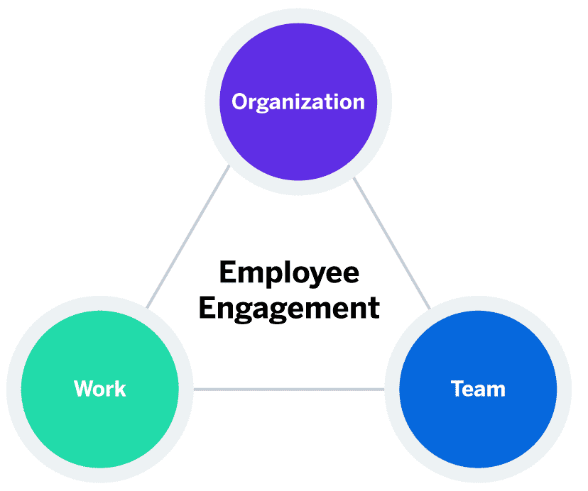 Employee Engagement Triad (Qualtrics)